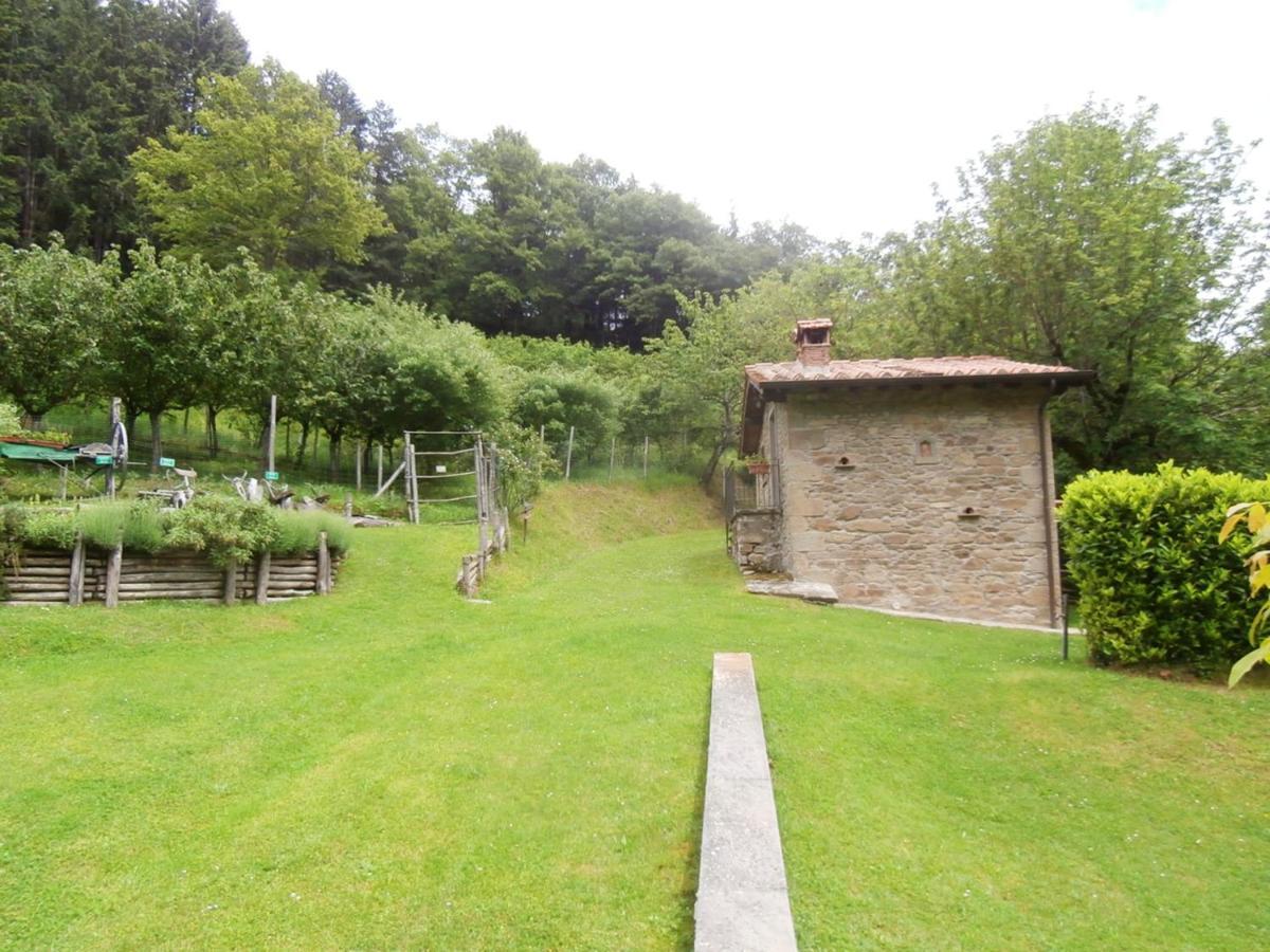 Comfortable House In Bibbiena + Pool Exterior photo